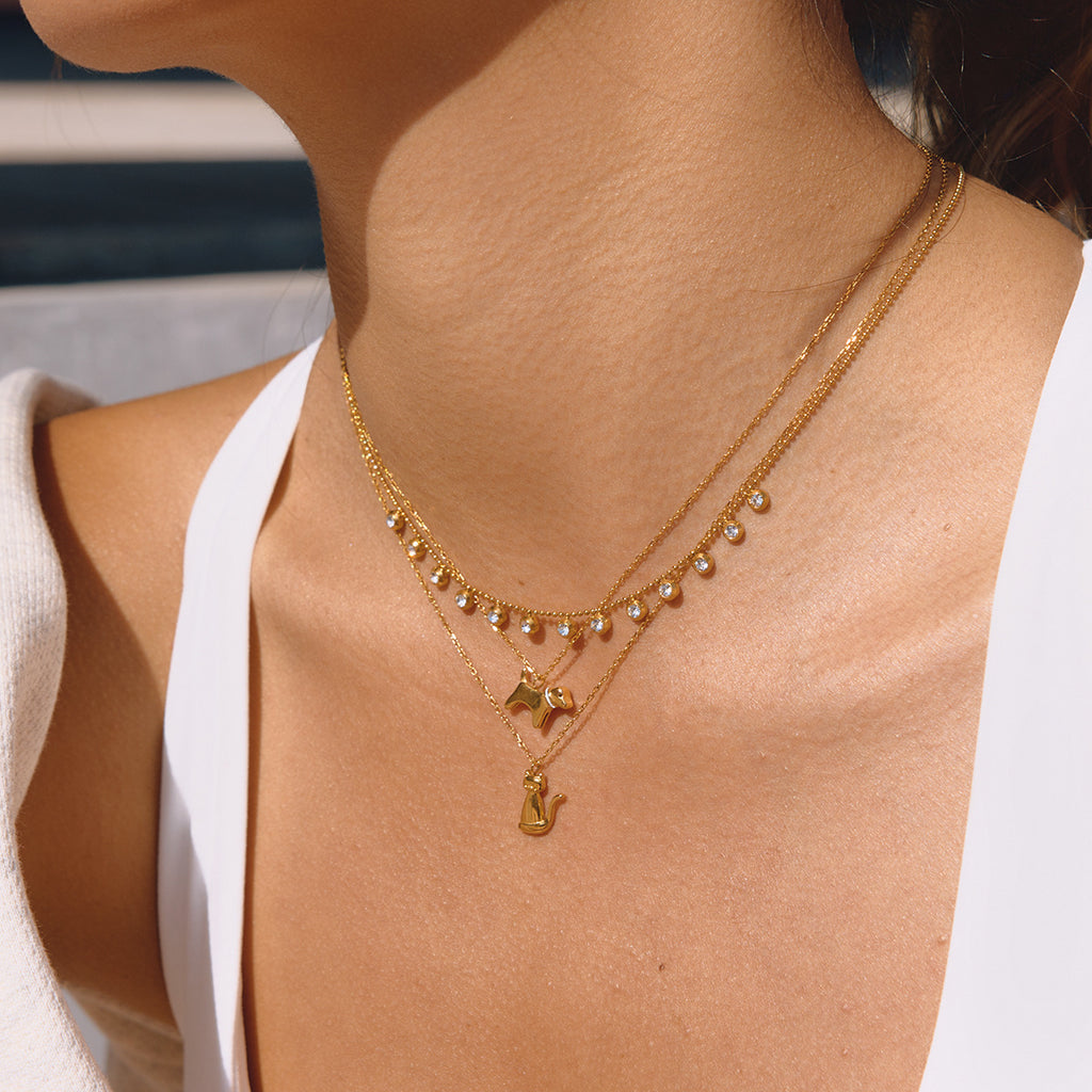 18K titanium steel unique personality pet-shaped necklace